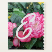 Rosa Begonia-Blume Planer (Rückseite)