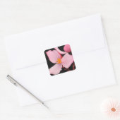 Rosa Begonia Sticker (Umschlag)