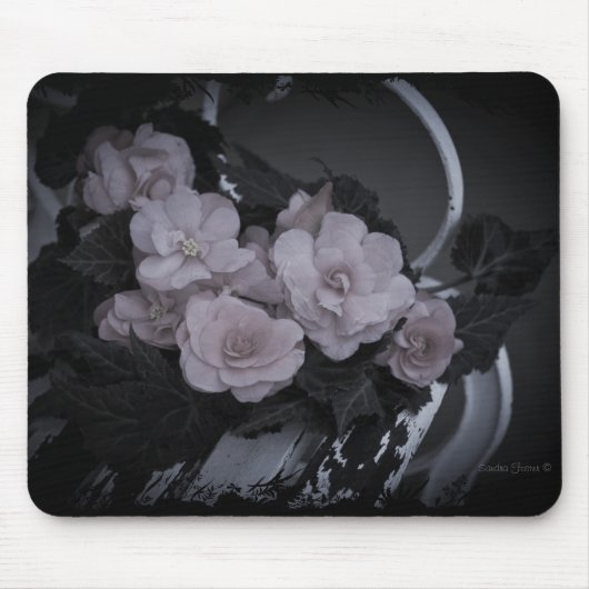Rosa Begonias auf der Bank - Mousepad (Vorne)