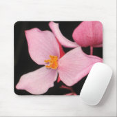 Rosa Begonie Mousepad (Mit Mouse)