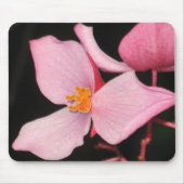 Rosa Begonie Mousepad (Vorne)