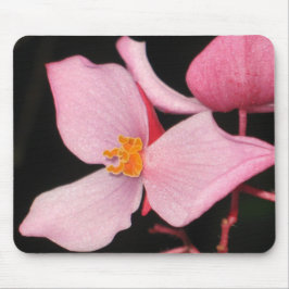 Rosa Begonie Mousepad