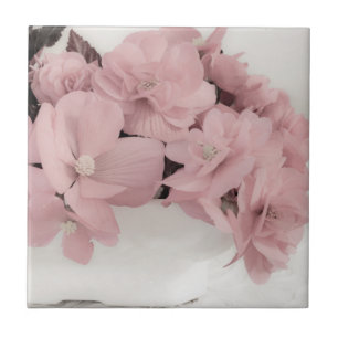 Rosa Begonien Fliese