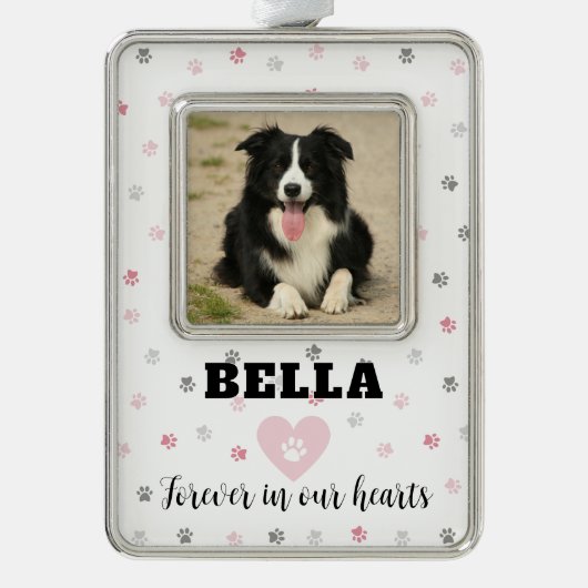 Rosa Beileid Hund Foto Gedenkstätte Rahmen-Ornament Silber (Vorderseite)