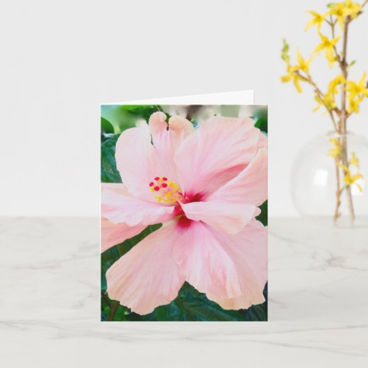 Rosa Beileid Karte (Gelbe Blume)