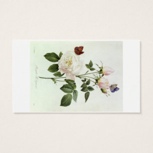 Rosa: Bengale das Hymenes, von 'Les Rosen