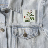 Rosa: Bengale das Hymenes, von 'Les Rosen Button (Beispiel)