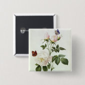 Rosa: Bengale das Hymenes, von 'Les Rosen Button (Vorne & Hinten)