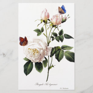Rosa Bengale - Pierre Joseph Redouté.
