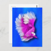 Rosa Bettfische Postkarte (Vorne/Hinten)