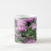 Rosa Bienen-Balsam, Monarda Kaffeetasse (Mittel)