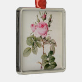 Rosa Bifera Officinalis, von 'Les Rosen Silbernes Ornament (Rechts)