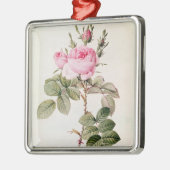 Rosa Bifera Officinalis, von 'Les Rosen Silbernes Ornament (Links)