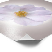 rosa bis lila fotodruck (Ecke)