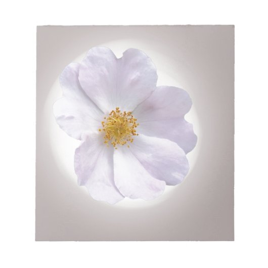 rosa bis lila notizblock (Vorderseite)