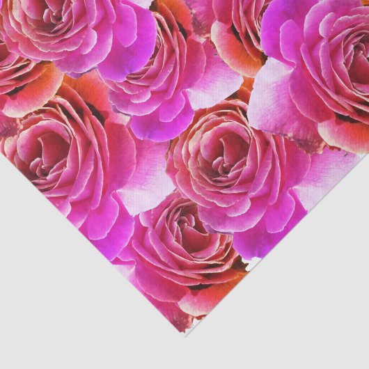 Rosa bis rote Rose Seidenpapier (Ausschnitt)