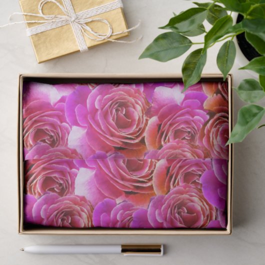 Rosa bis rote Rose Seidenpapier (Geschenk)
