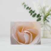 Rosa blanca postkarte (Stehend Vorderseite)