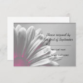 Rosa BläserHighlights RSVP Response Card Hochzeite (Vorne/Hinten)