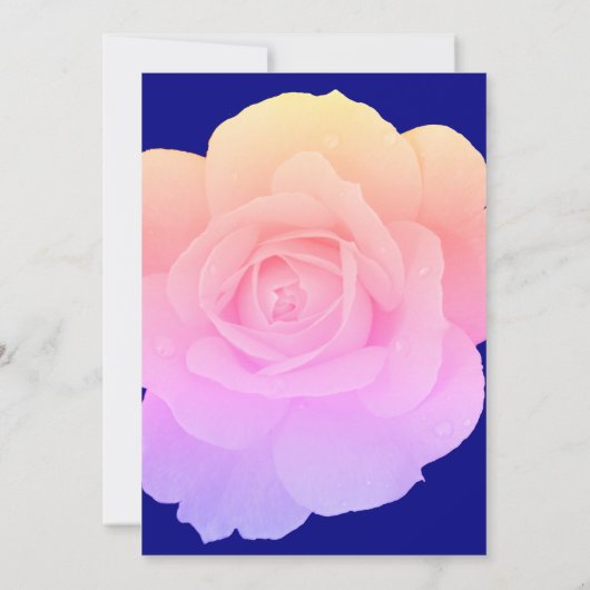 Rosa Bläsernavy Blauer Rose Blume Hochzeit Einladung (Rückseite)