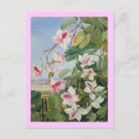 Rosa Bläserner Frühling Party Dusche Liebe Frieden