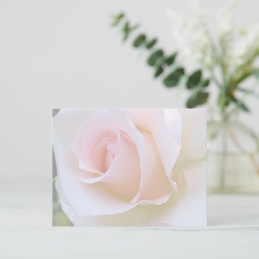 Rosa blass postkarte (Stehend Vorderseite)