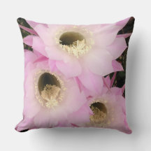 Rosa Blätter der Wüste