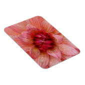 Rosa Blätter Magnet (Rechte Seite)