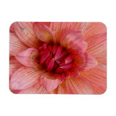 Rosa Blätter Magnet (Horizontal)