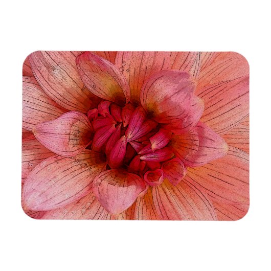 Rosa Blätter Magnet (Horizontal)