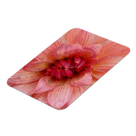 Rosa Blätter Magnet (Linke Seite)