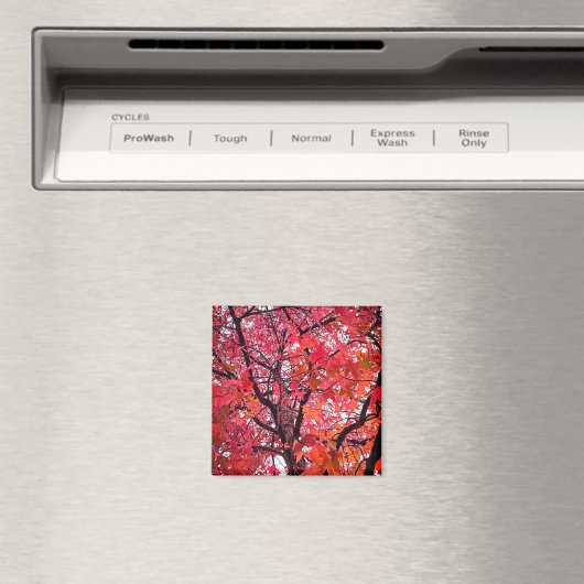 Rosa Blätter Magnet (In Situ (Geschirrspüler))
