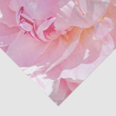 Rosa Blätter Seidenpapier (Ausschnitt)