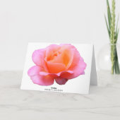 Rosa - Blau Karte (Rückseite)