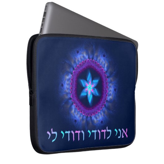 Rosa - Blau Magen Laptopschutzhülle (Vorne Rechts)