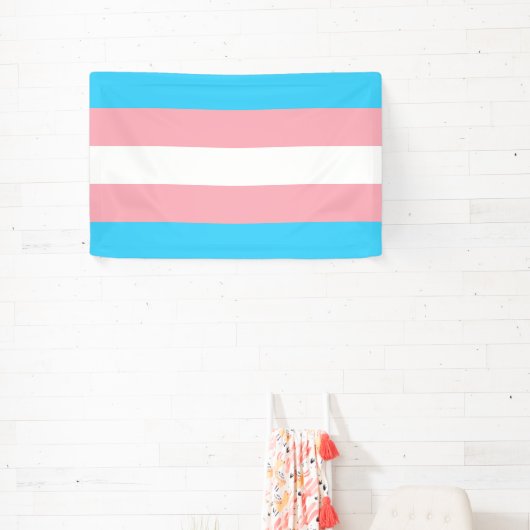 Rosa, Blau und Weiß-Transgender-Flag Banner (InSitu)