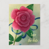 Rosa blaue Schleife Save the Date Postkarten (Vorderseite)