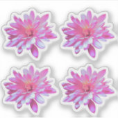 Rosa blorrosa Blume Sonnenblumen Aufkleber (Vorderseite)