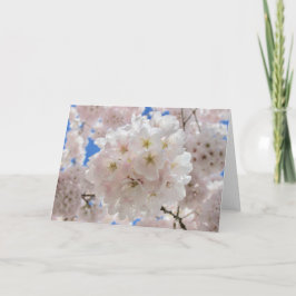 Rosa Blossom Balls. Einladung