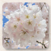 Rosa Blossom Balls. Getränkeuntersetzer (Vorderseite)