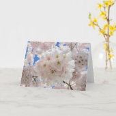 Rosa Blossom Balls. Karte (Gelbe Blume)