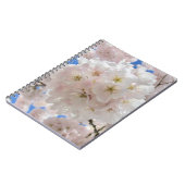 Rosa Blossom Balls. Notizblock (Linke Seite)