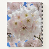 Rosa Blossom Balls. Notizblock (Rückseite)