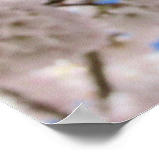 Rosa Blossom Balls Poster (Ecke)