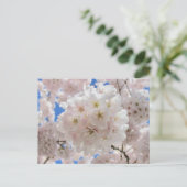 Rosa Blossom Balls. Postkarte (Stehend Vorderseite)