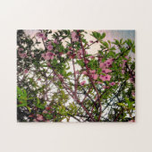 Rosa Blossom Baumfarbe, Puzzle (Horizontal)