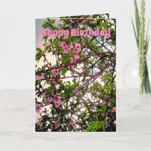 Rosa Blossom Baumfarbe Wasser Farbe, Geburtstag Karte