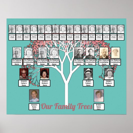 Rosa Blossom Fraktal Tree Aquamarin 2 Familienbäum Poster (Vorne)