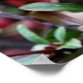 Rosa Blossom Frühling Poster (Ecke)