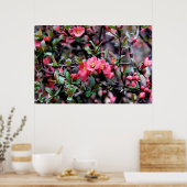 Rosa Blossom Frühling Poster (Küche)
